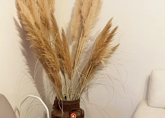 Spacieux Rez De Maison 7 Pers Clim Cour Et Parking *